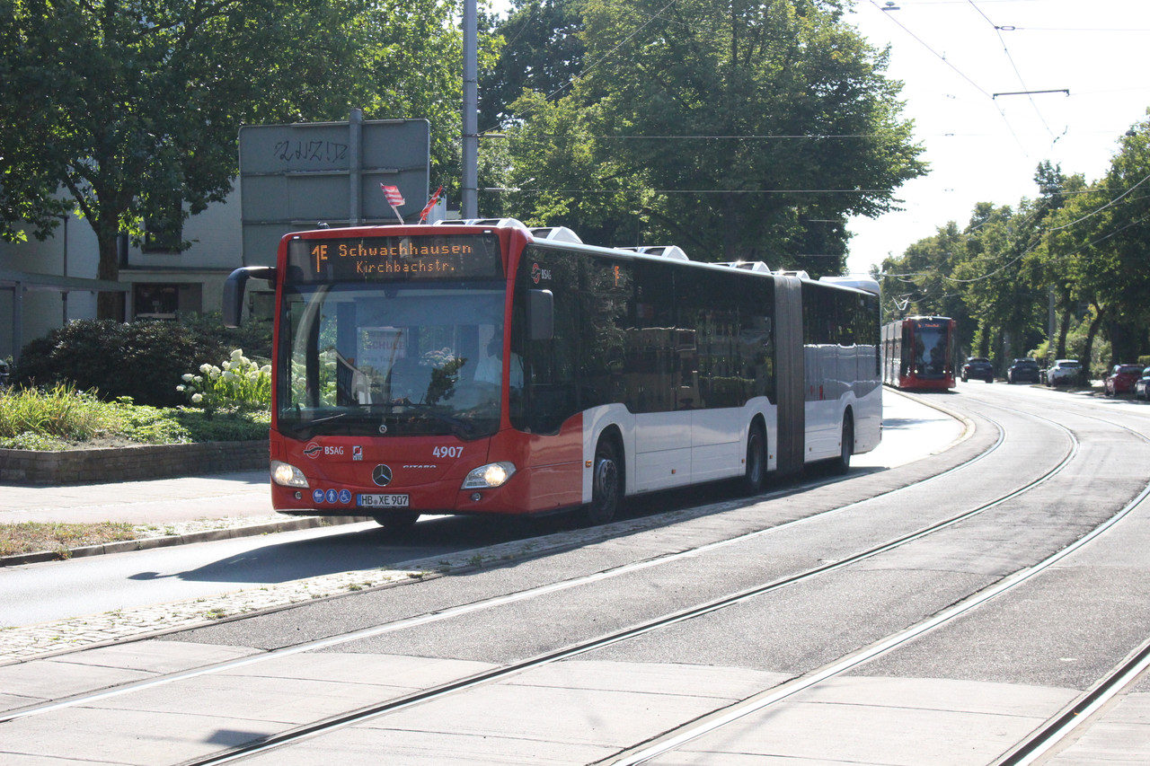 Bild