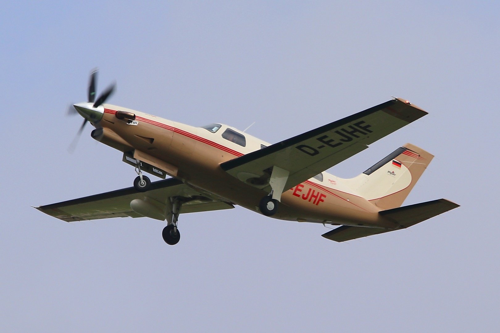 Bild